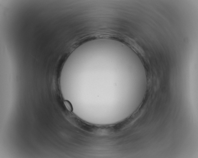 X0000114640209200910200947
