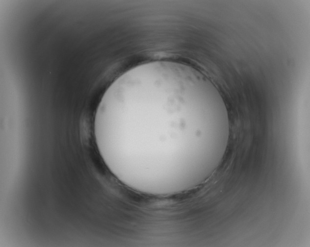 X0000114640210200910200947