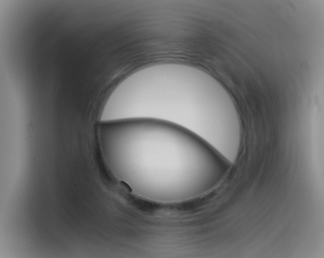 X0000114640211200910200947