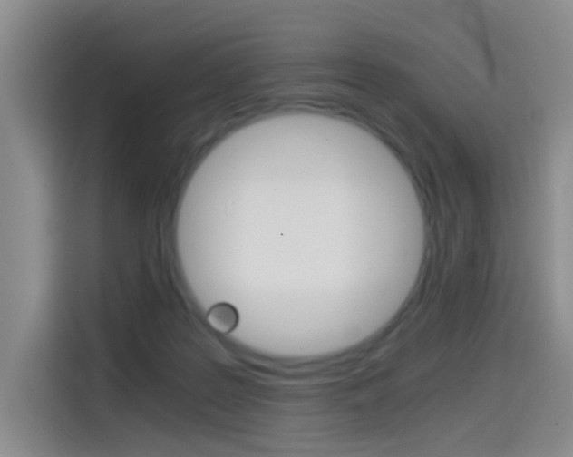 X0000114640219200910200947