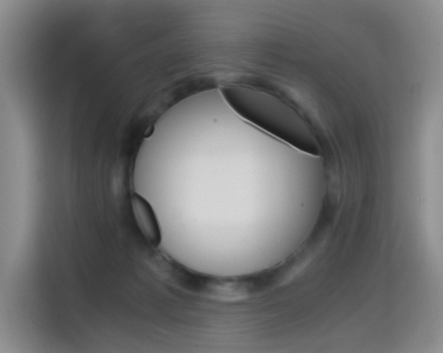 X0000114640221200910200947