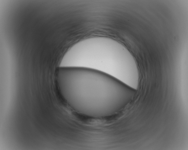 X0000114640223200910200947