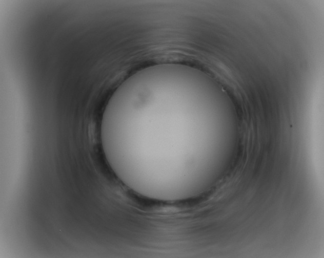 X0000114640224200910200947