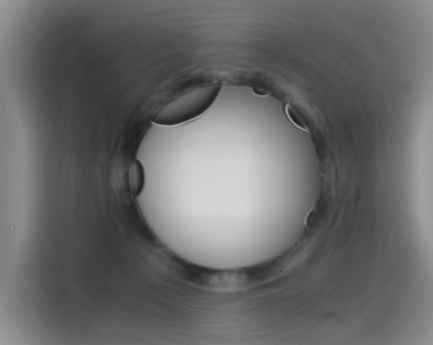 X0000114640225200910200947