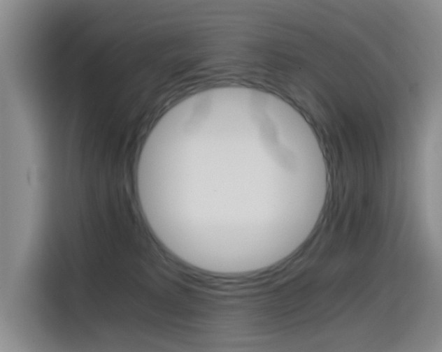 X0000114640229200910200947