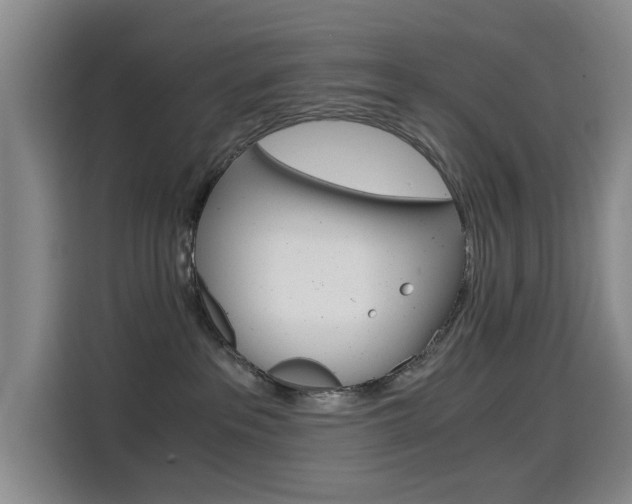 X0000114640237200910200947