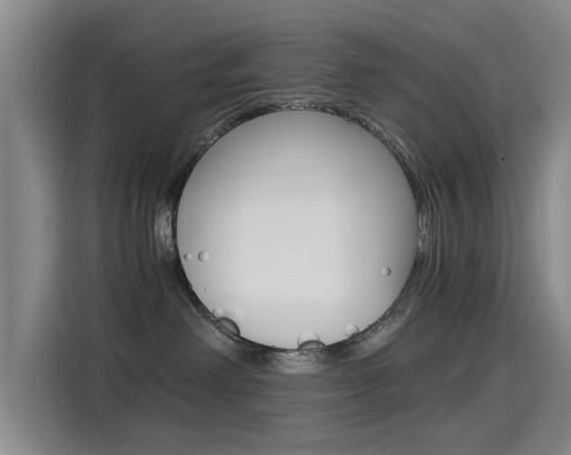 X0000114640238200910200947