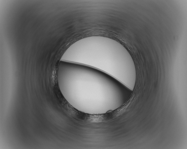 X0000114640240200910200947