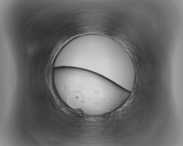 X0000114640241200910200946