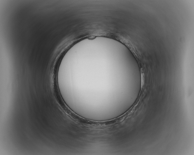 X0000114640243200910200946