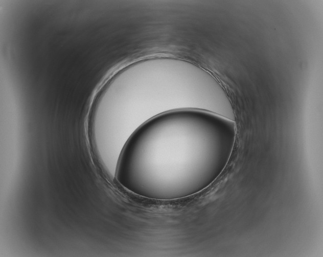 X0000114640244200910200946