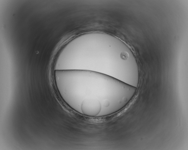 X0000114640245200910200946