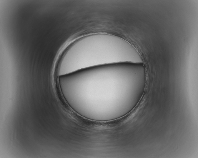 X0000114640246200910200946