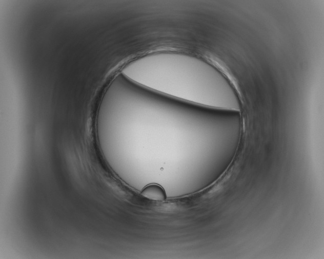 X0000114640249200910200946