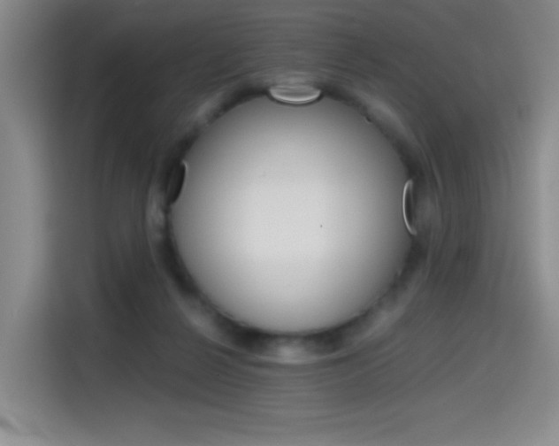 X0000114640264200910200946