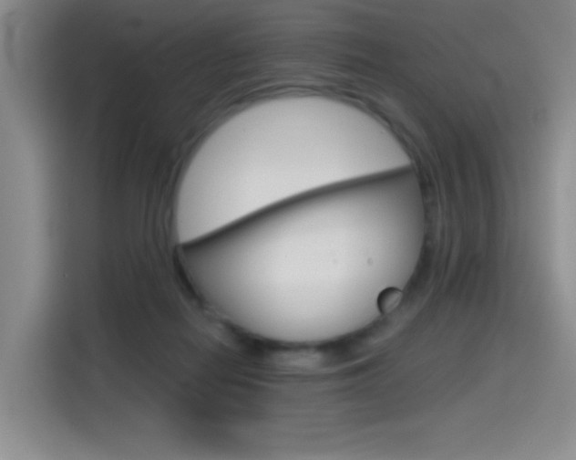 X0000114640266200910200946