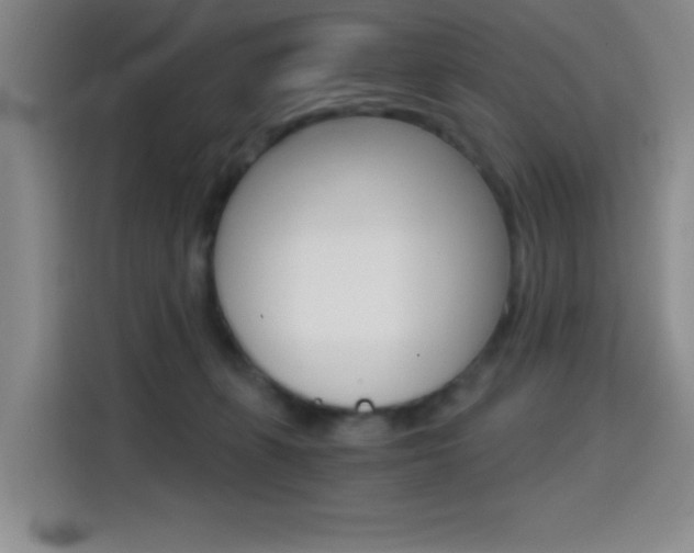 X0000114640271200910200947