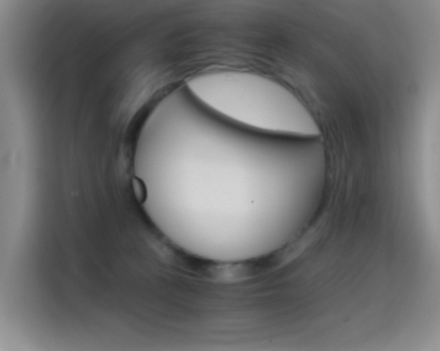 X0000114640273200910200947