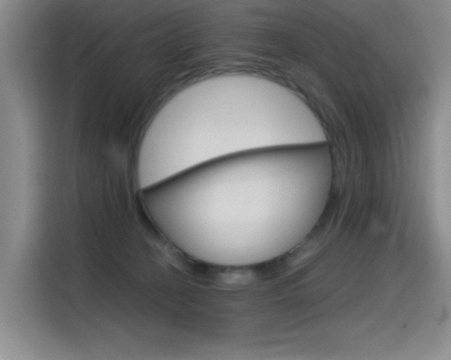 X0000114640274200910200947