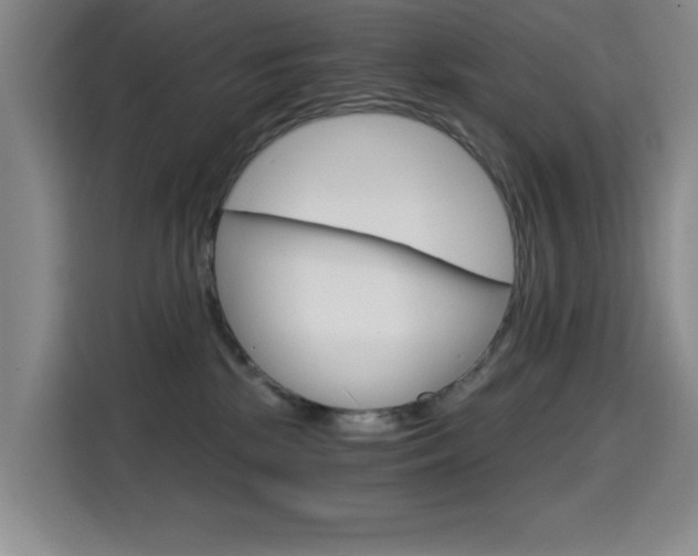 X0000114640281200910200947