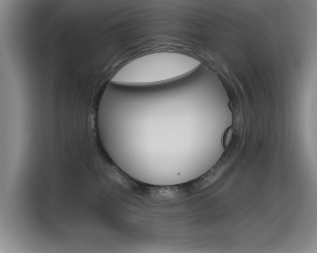 X0000114640282200910200947