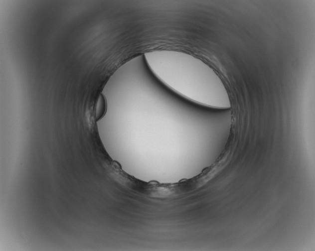 X0000114640285200910200947
