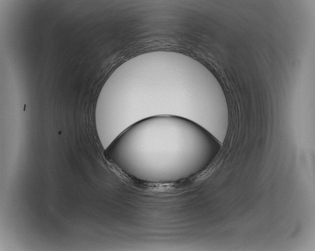 X0000114640288200910200947