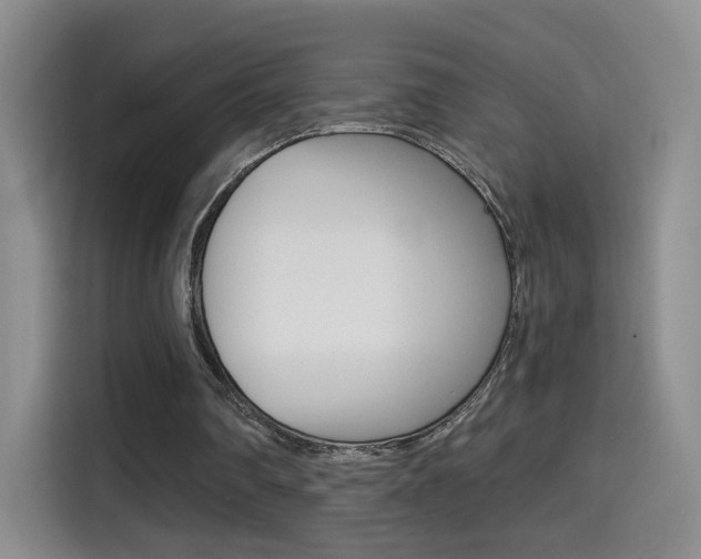 X0000114640290200910200946