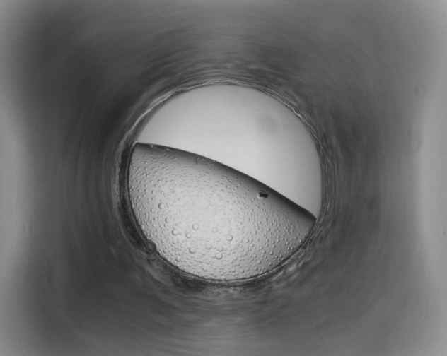 X0000114640291200910200946