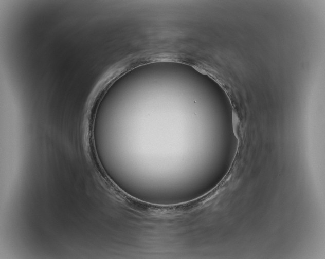 X0000114640293200910200946