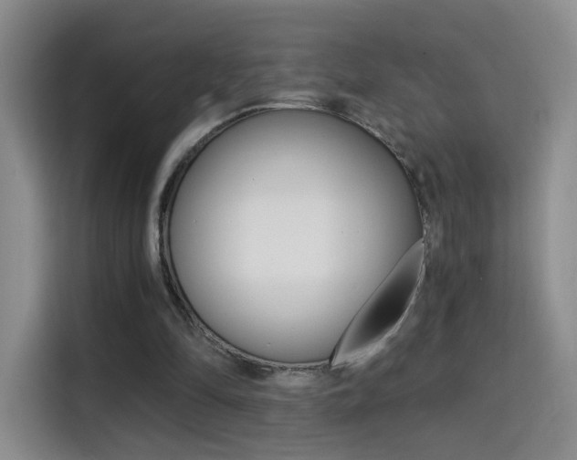 X0000114640294200910200946