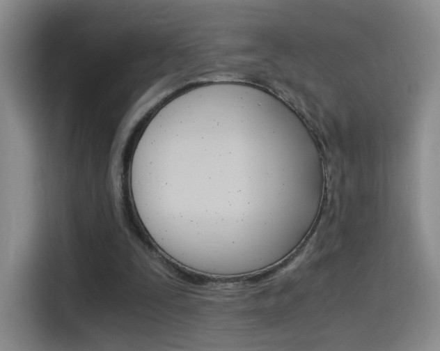 X0000114640295200910200946