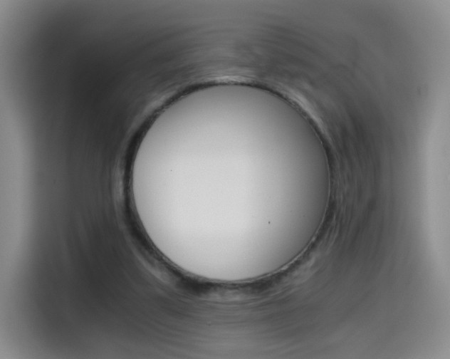 X0000114640299200910200946