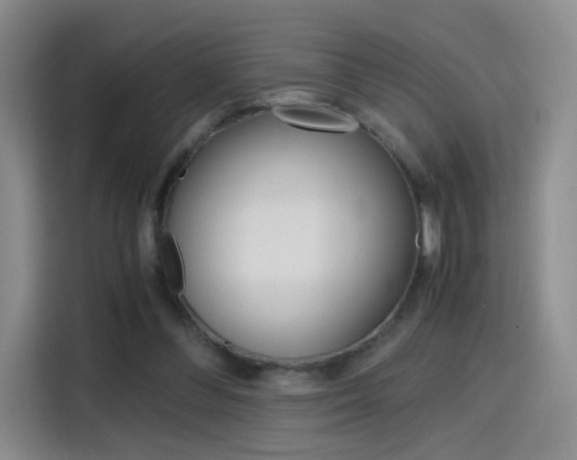 X0000114640300200910200946