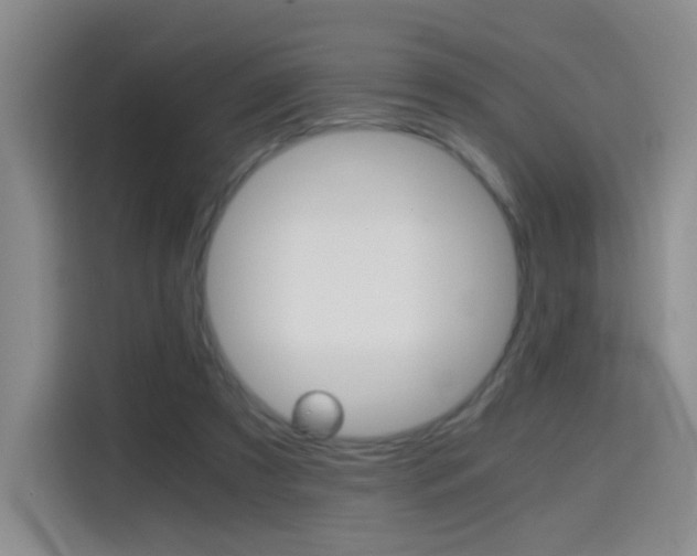 X0000114640305200910200946