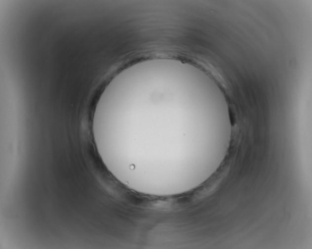 X0000114640306200910200946