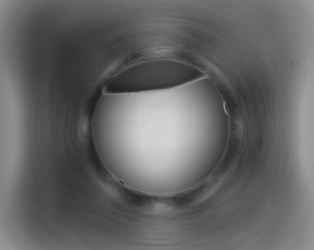 X0000114640308200910200946