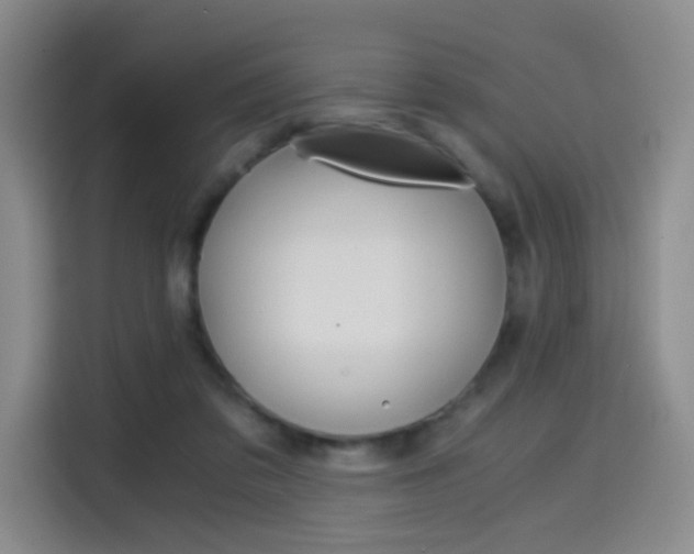 X0000114640309200910200946