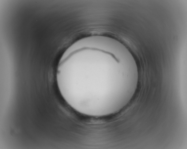 X0000114640311200910200946