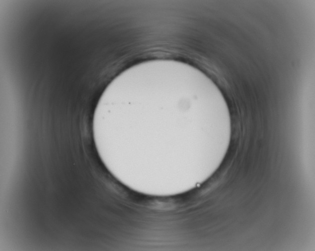 X0000114640317200910200946