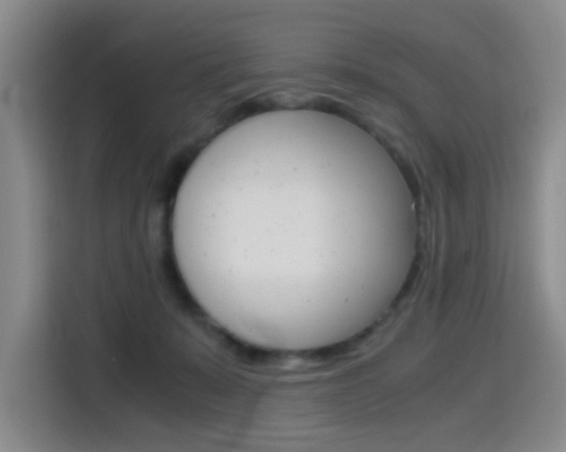 X0000114640319200910200946