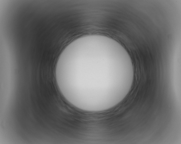 X0000114640320200910200946