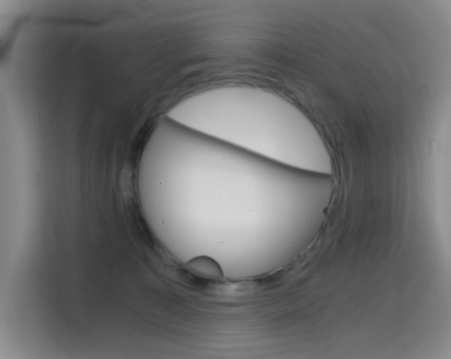 X0000114640323200910200946