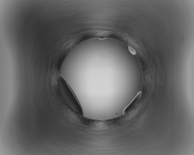 X0000114640325200910200946