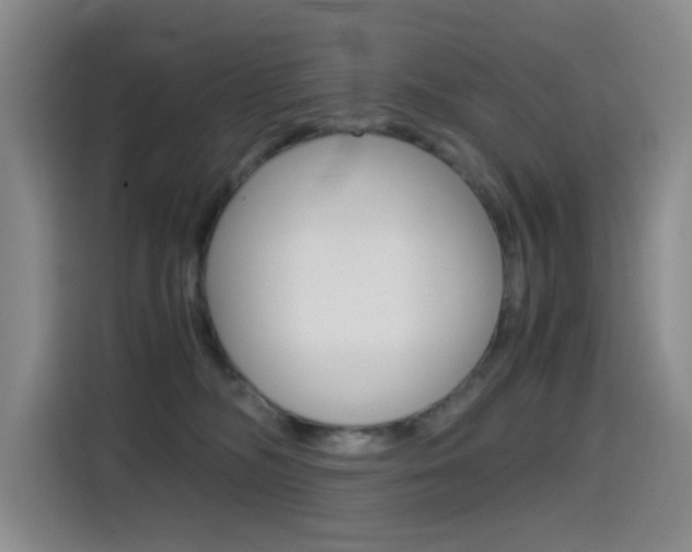 X0000114640326200910200946