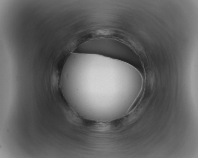 X0000114640328200910200946