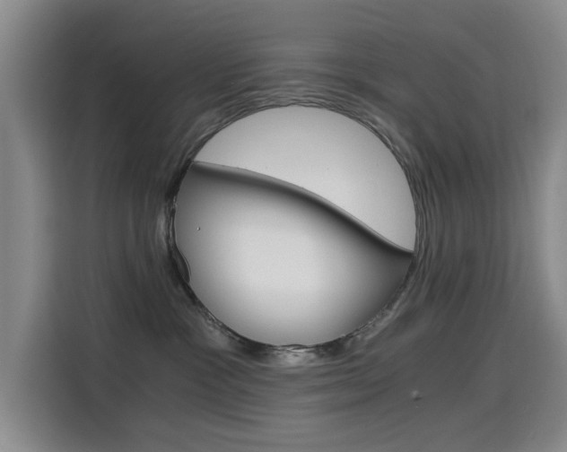 X0000114640333200910200946