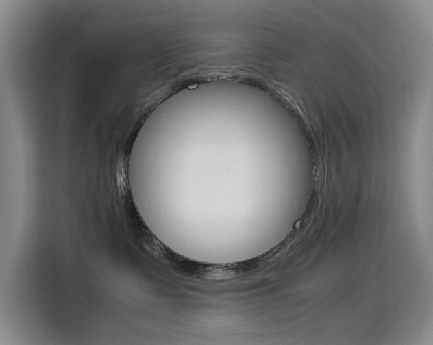 X0000114640335200910200946