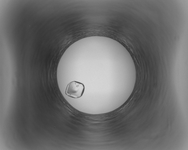 X0000114640336200910200946