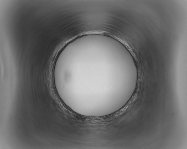 X0000114640337200910200945